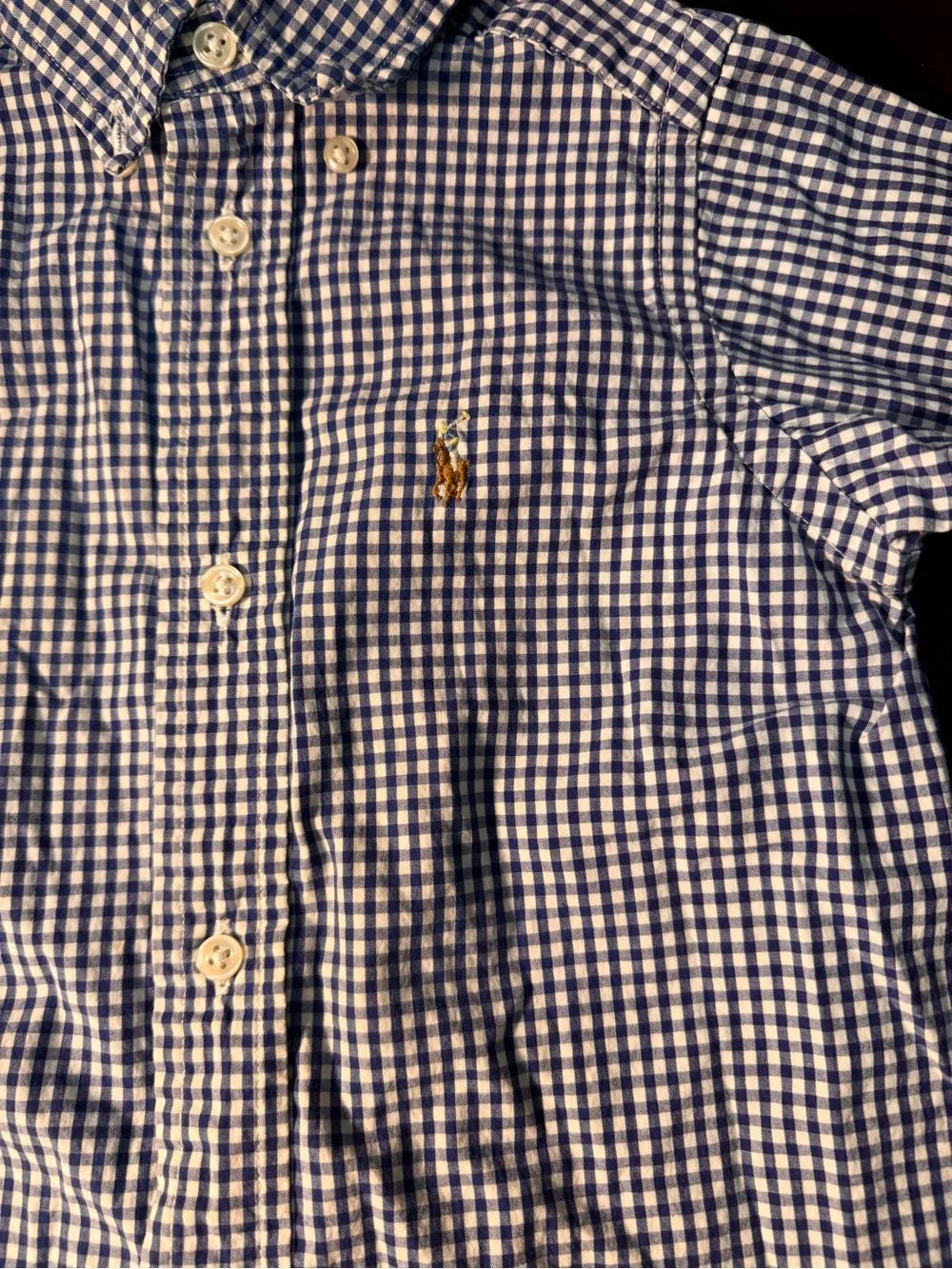 Ralph Lauren Blue and White Gingham Button-Down Shirt for Kids